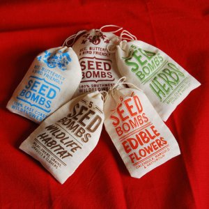 visualingual visualingual handmade seed bombs