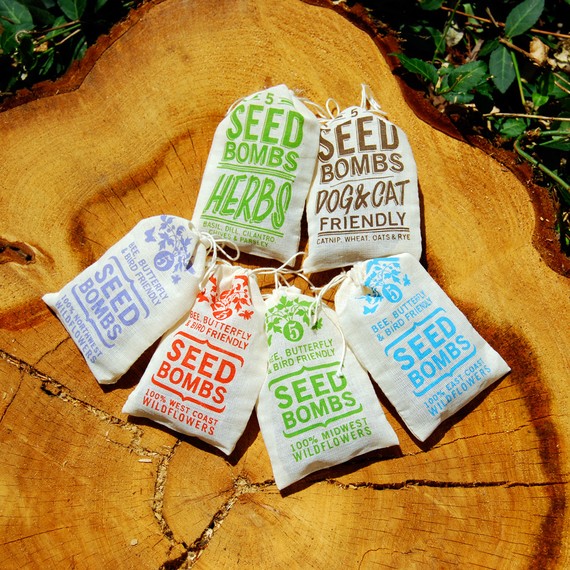 visualingual seed bombs